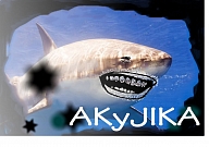 AKyJIKA -