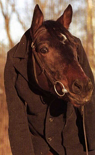 Конь В-Пальто